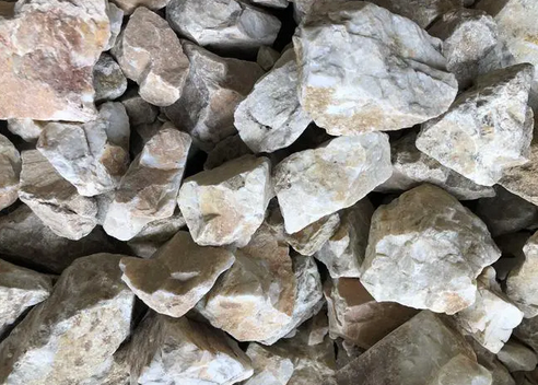 QQ截圖20230324153916.png QQ截圖20230324153916.png