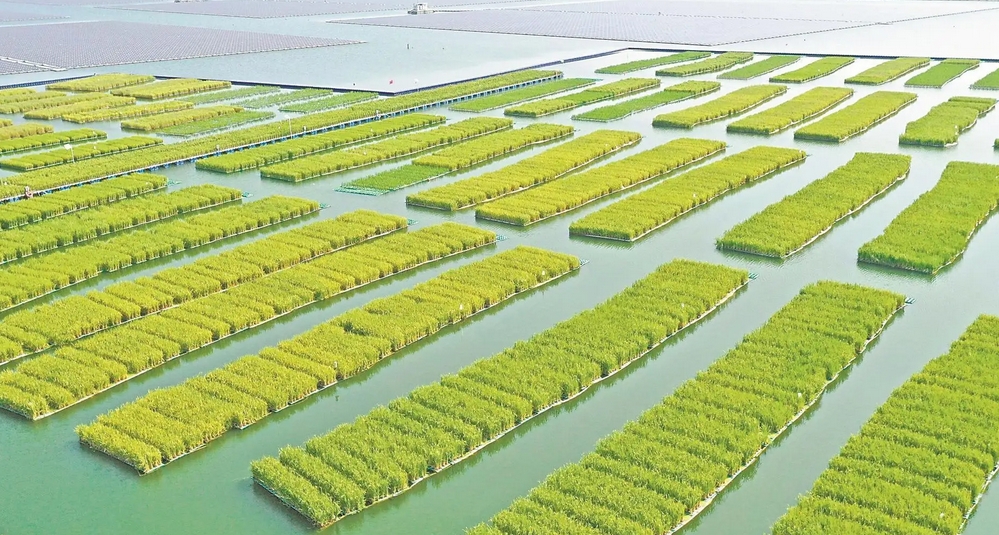 水種產(chǎn)業(yè)園項(xiàng)目 微信截圖_20250527213636.png